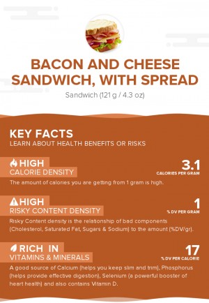 Bacon and cheese sandwich, with spread