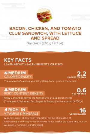 Bacon, chicken, and tomato club sandwich, with lettuce and spread