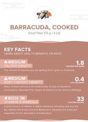 Barracuda, cooked