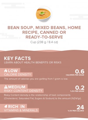 Bean soup, mixed beans, home recipe, canned or ready-to-serve