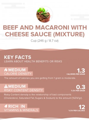 Beef and macaroni with cheese sauce (mixture)