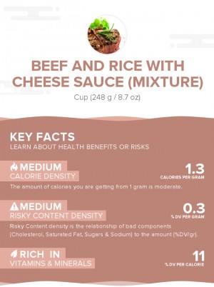 Beef and rice with cheese sauce (mixture)