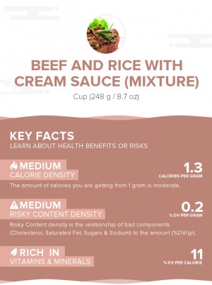 Beef and rice with cream sauce (mixture)
