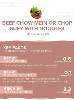 Beef chow mein or chop suey with noodles