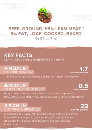 Beef, ground, 95% lean meat / 5% fat, loaf, cooked, baked