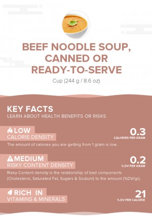 Beef noodle soup, canned or ready-to-serve