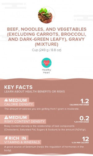 Beef, noodles, and vegetables (excluding carrots, broccoli, and dark-green leafy), gravy (mixture)