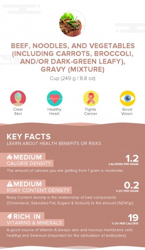 Beef, noodles, and vegetables (including carrots, broccoli, and/or dark-green leafy), gravy (mixture)