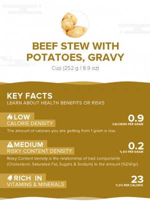 Beef stew with potatoes, gravy