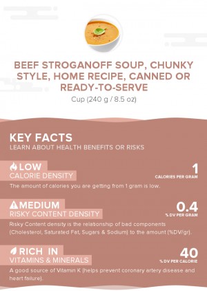 Beef stroganoff soup, chunky style, home recipe, canned or ready-to-serve