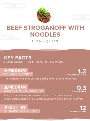 Beef stroganoff with noodles