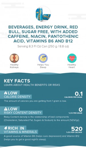 Beverages, Energy drink, RED BULL, sugar free, with added caffeine, niacin, pantothenic acid, vitamins B6 and B12