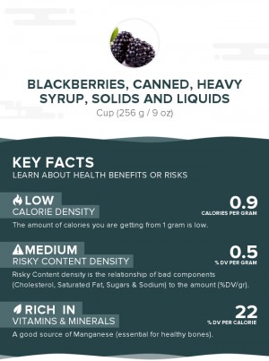 Blackberries, canned, heavy syrup, solids and liquids