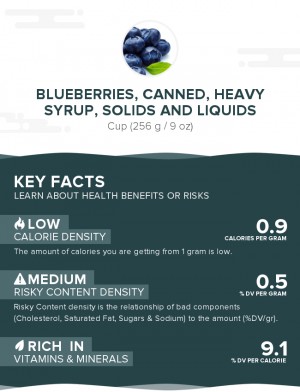 Blueberries, canned, heavy syrup, solids and liquids