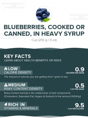 Blueberries, cooked or canned, in heavy syrup