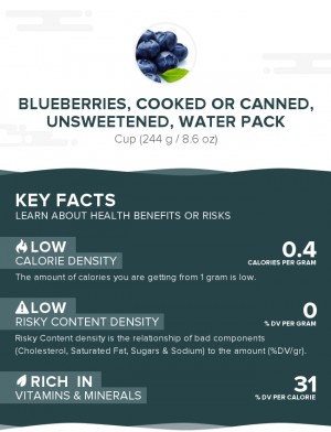 Blueberries, cooked or canned, unsweetened, water pack