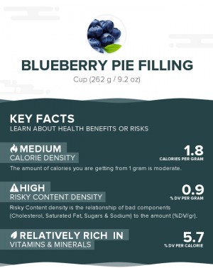 Blueberry pie filling