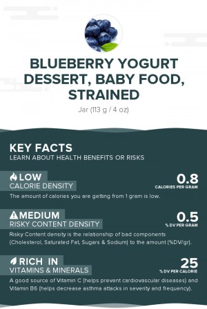 Blueberry yogurt dessert, baby food, strained