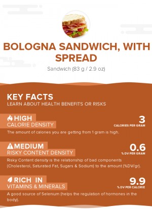 Bologna sandwich, with spread