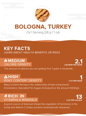 Bologna, turkey