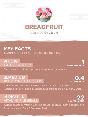 Breadfruit, raw