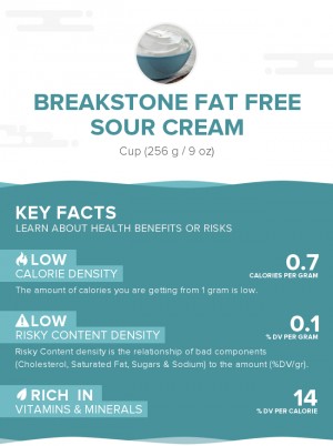 Breakstone Fat Free Sour Cream