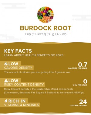 Burdock root, raw