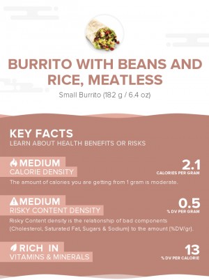 Burrito with beans and rice, meatless