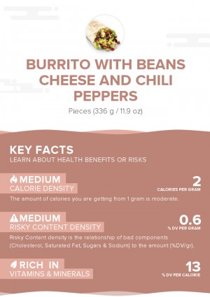 Burrito With Beans Cheese And Chili Peppers