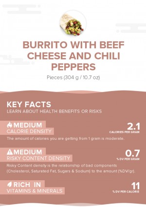 Burrito With Beef Cheese And Chili Peppers