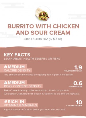 Burrito with chicken and sour cream