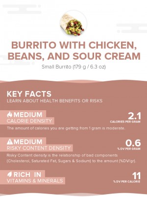 Burrito with chicken, beans, and sour cream