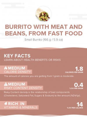 Burrito with meat and beans, from fast food