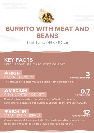 Burrito with meat and beans