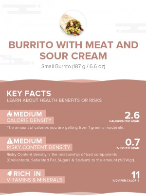 Burrito with meat and sour cream