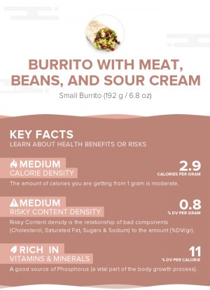 Burrito with meat, beans, and sour cream