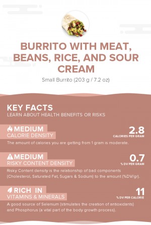 Burrito with meat, beans, rice, and sour cream