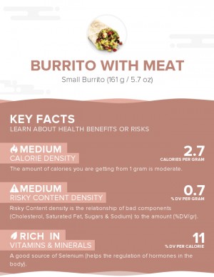 Burrito with meat