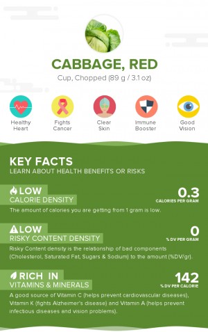 Cabbage, red, raw