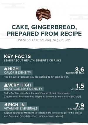 Cake, gingerbread, prepared from recipe