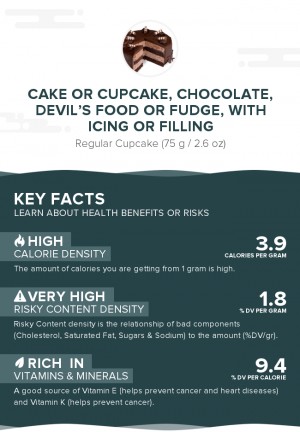 Cake or cupcake, chocolate, devil's food or fudge, with icing or filling