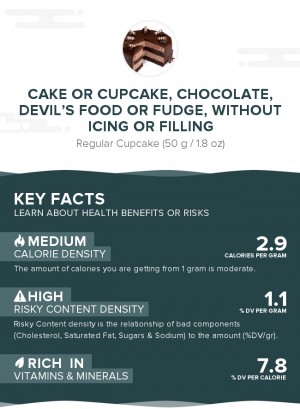 Cake or cupcake, chocolate, devil's food or fudge, without icing or filling