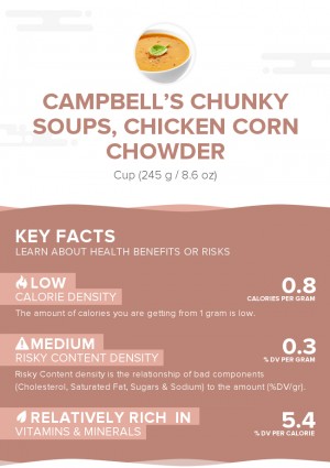 CAMPBELL'S CHUNKY Soups, Chicken Corn Chowder