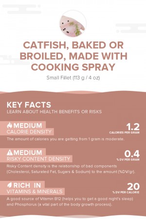 Catfish, baked or broiled, made with cooking spray