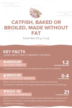 Catfish, baked or broiled, made without fat