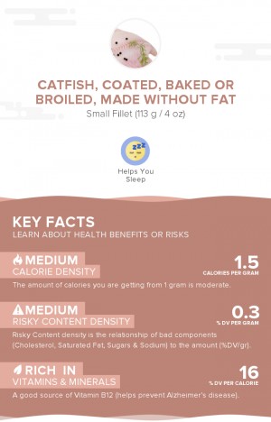 Catfish, coated, baked or broiled, made without fat