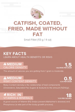 Catfish, coated, fried, made without fat