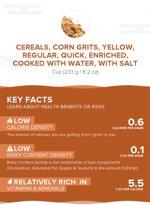 Cereals, corn grits, yellow, regular, quick, enriched, cooked with water, with salt