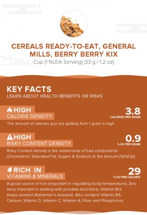 Cereals ready-to-eat, GENERAL MILLS, BERRY BERRY KIX