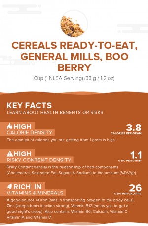 Cereals ready-to-eat, GENERAL MILLS, BOO BERRY